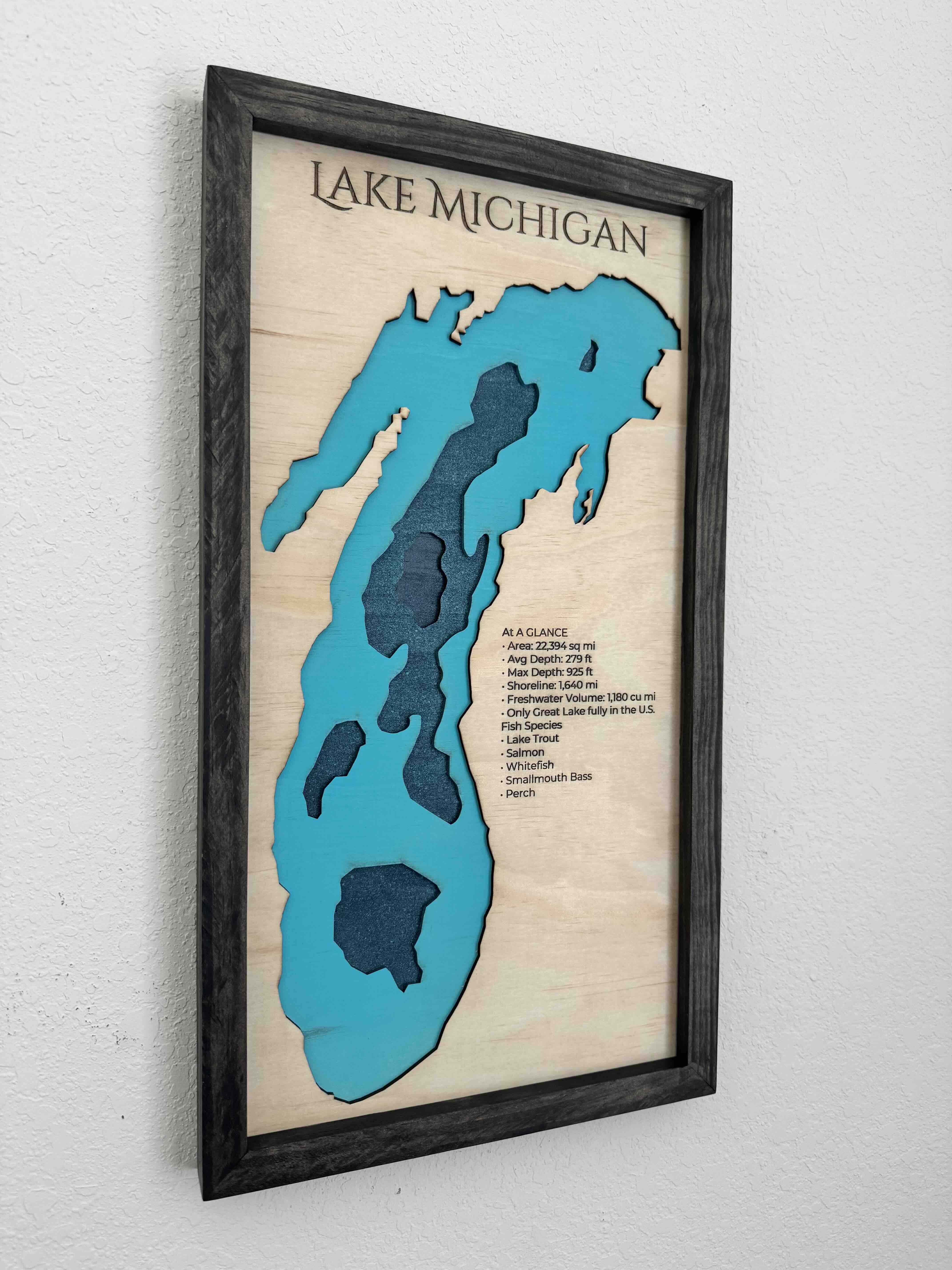 Lake Michigan topographic