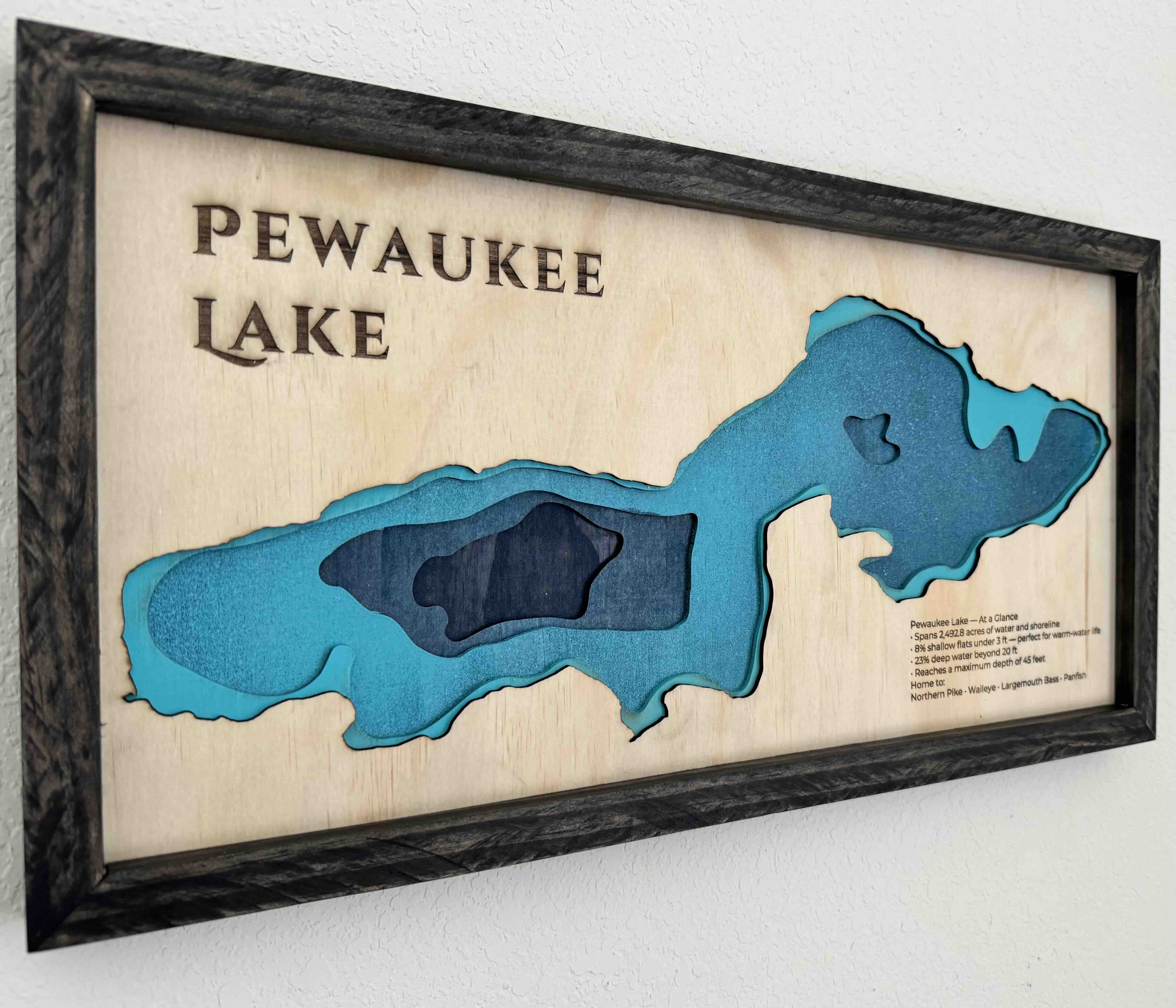 Pewaukee Lake topographic